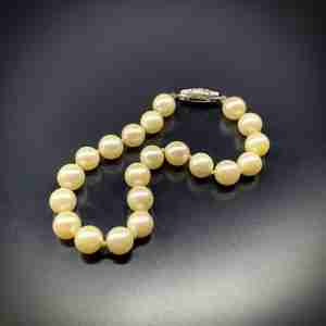Pearl Bracelet.